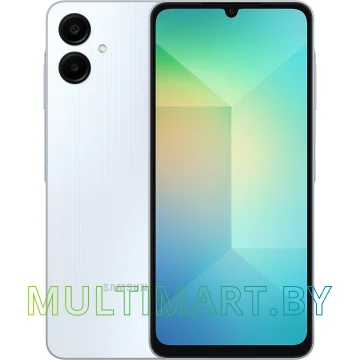 Смартфон Samsung Galaxy A06 SM-A065F 6GB/128GB (голубой)